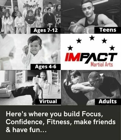 Impact Martial Arts facility image