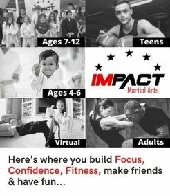 Impact Martial Arts facility image