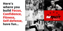 Impact Martial Arts facility image