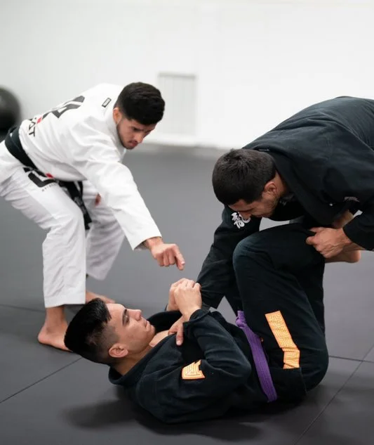 INEVÄT JIU JITSU facility image