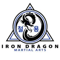 Iron Dragon Martial Arts academy logo