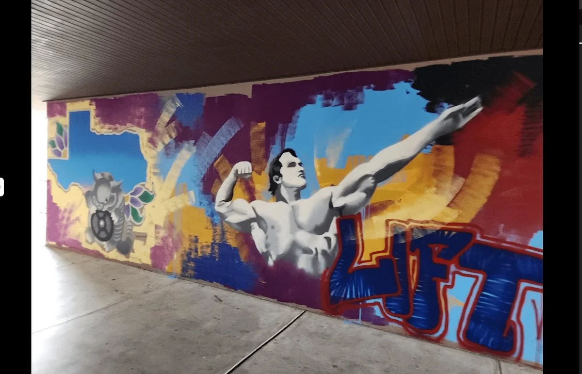 Iron Forge Gym visual