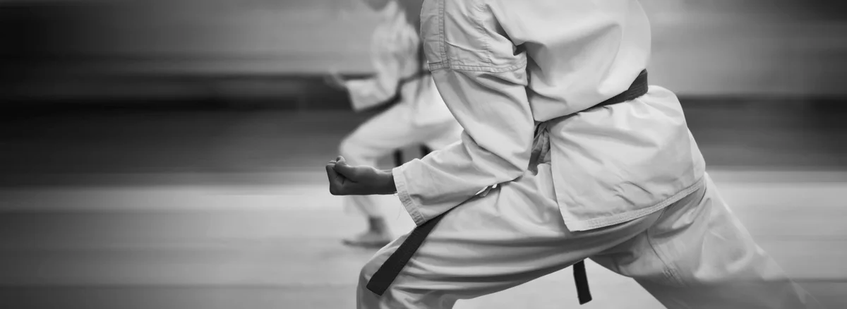 Jiu-Jitsu Syndicate facility image