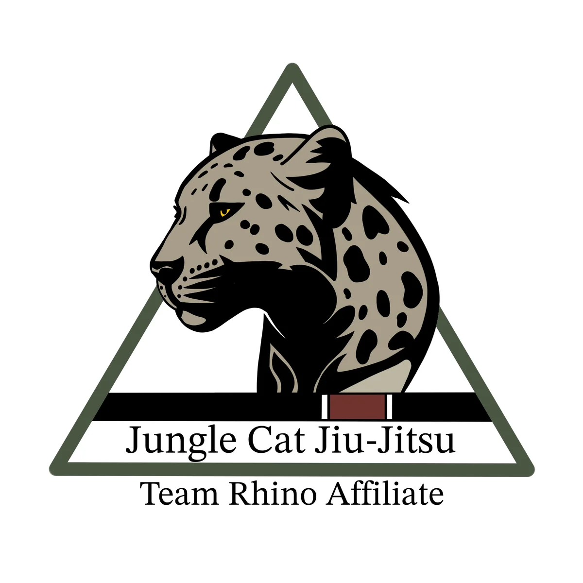Jungle Cat Jiu Jitsu | East Texas Jiu Jitsu academy photo
