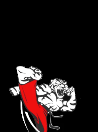 K-Tiger Martial Arts facility image