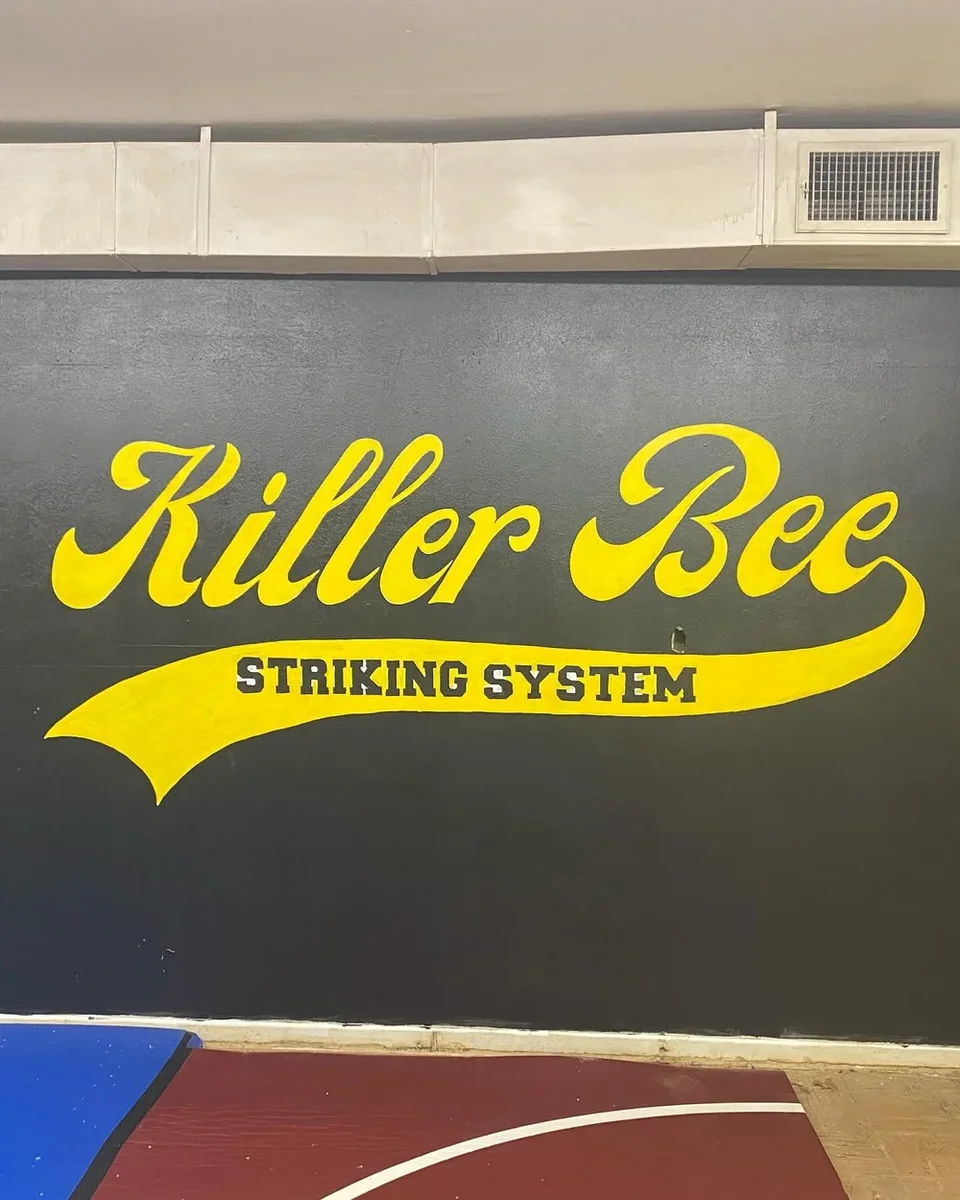 Killer Bee Brazilian Jiu Jitsu academy photo