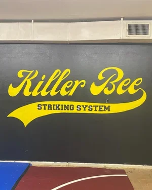 Killer Bee Brazilian Jiu Jitsu academy logo