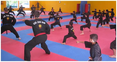Kuk Sool Won of The Woodlands academy photo