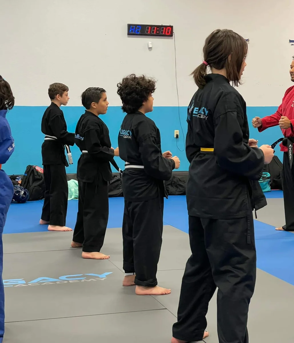 Legacy Academy Martial Arts visual