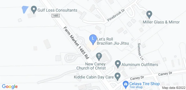 Let's Roll Brazilian Jiu-Jitsu academy logo