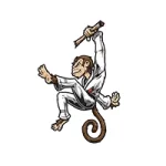 Magness Brazilian Jiu-Jitsu academy photo