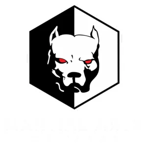 Martial Arts of Waco academy logo