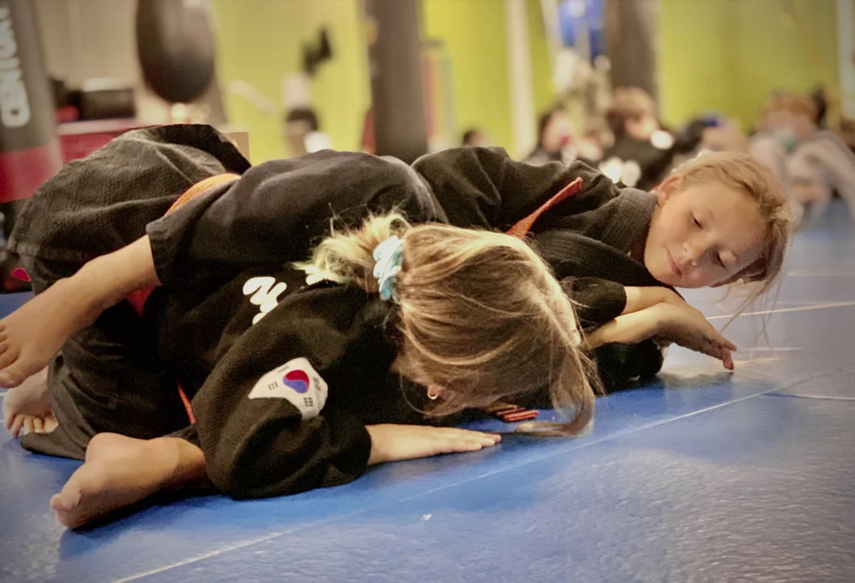 Master Martial Arts academy logo