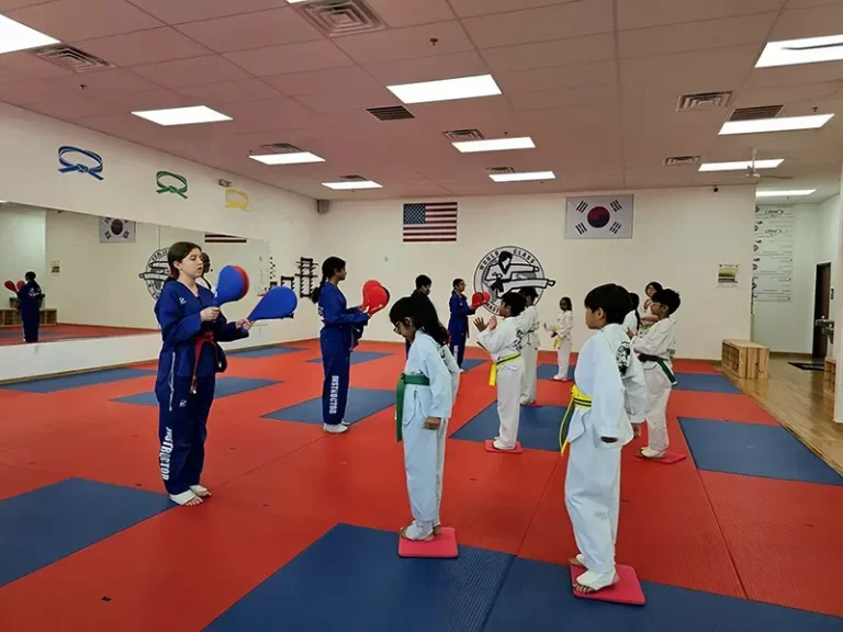 Master Y Kim's World Class Martial Arts facility image