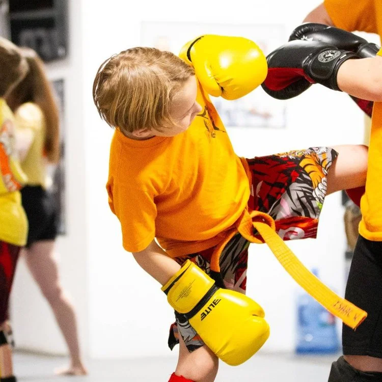 Meta Mixed Martial Arts facility image