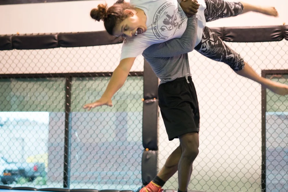 LECMA - Legacy Elite Combat Martial Arts facility image