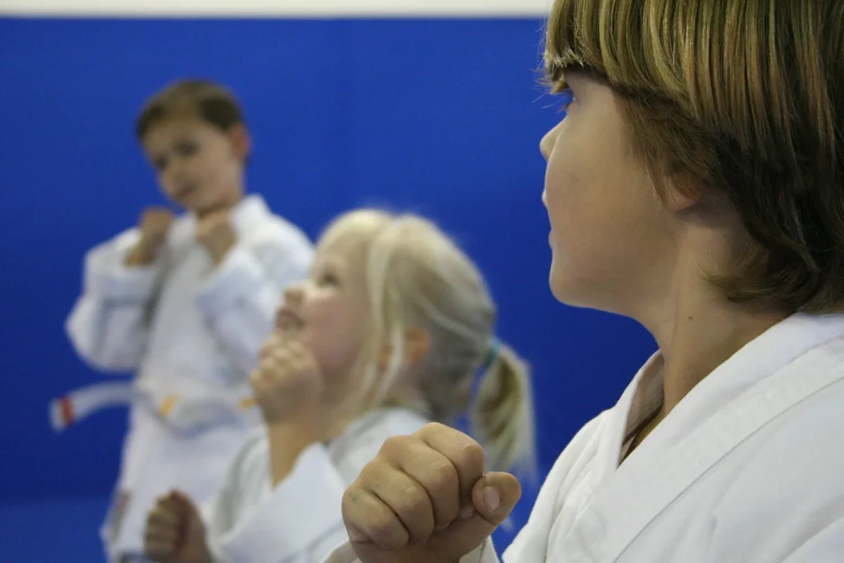 LECMA - Legacy Elite Combat Martial Arts facility image