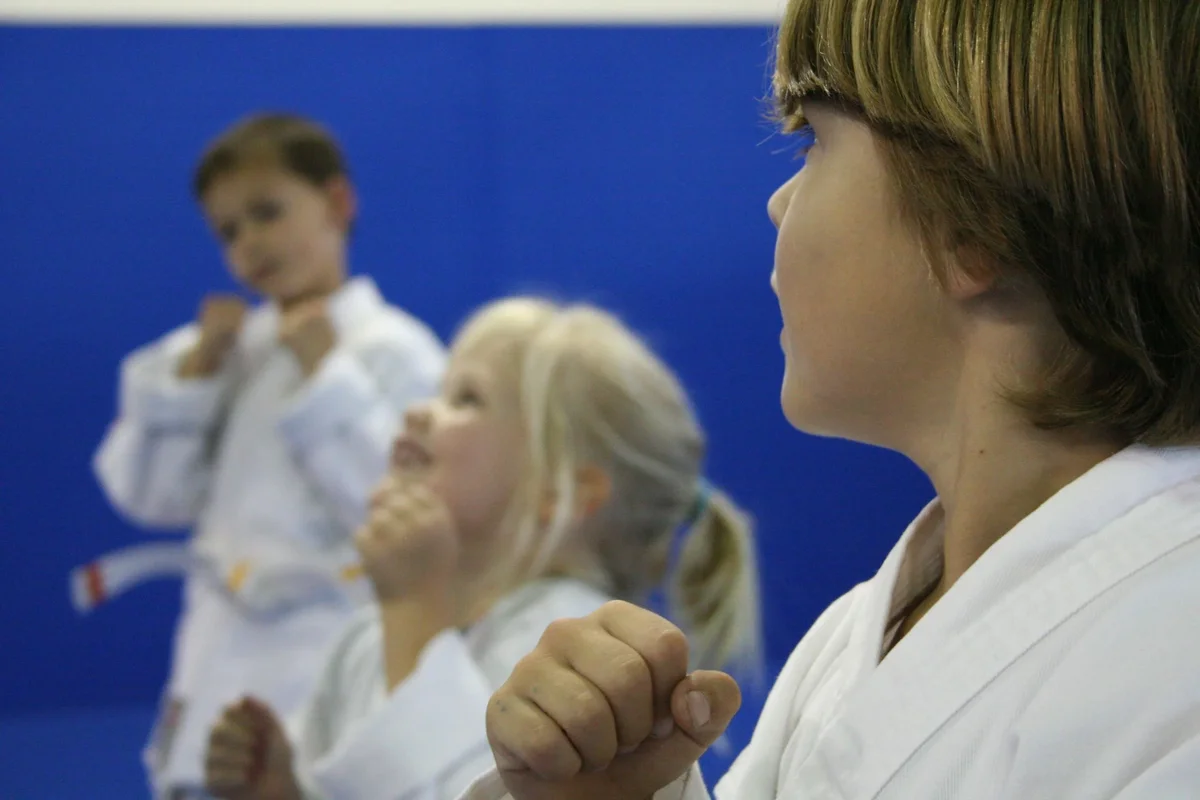 LECMA - Legacy Elite Combat Martial Arts facility image