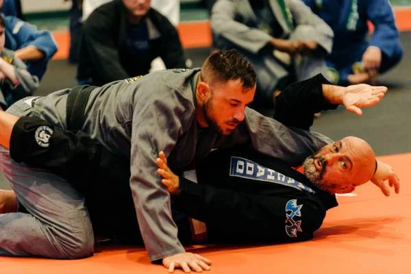 Mollis Ars BJJ visual