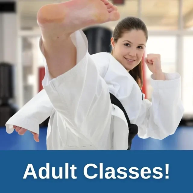 Mount Pleasant Martial Arts facility image