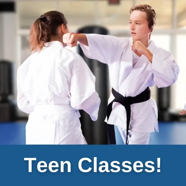 Mount Pleasant Martial Arts facility image