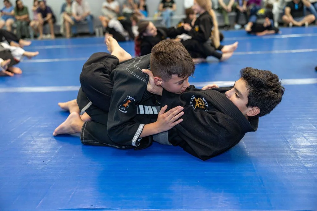 Next Level Jiu Jitsu facility image