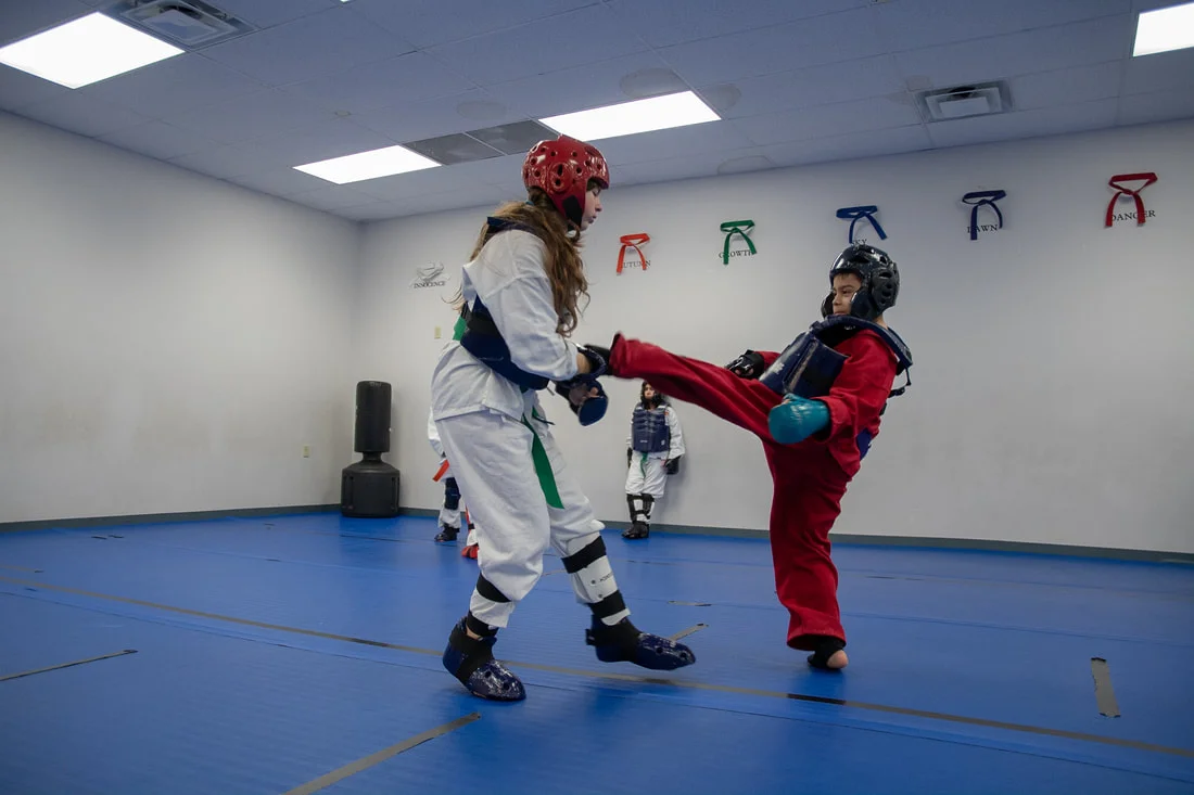 North Dallas Martial Arts facility image