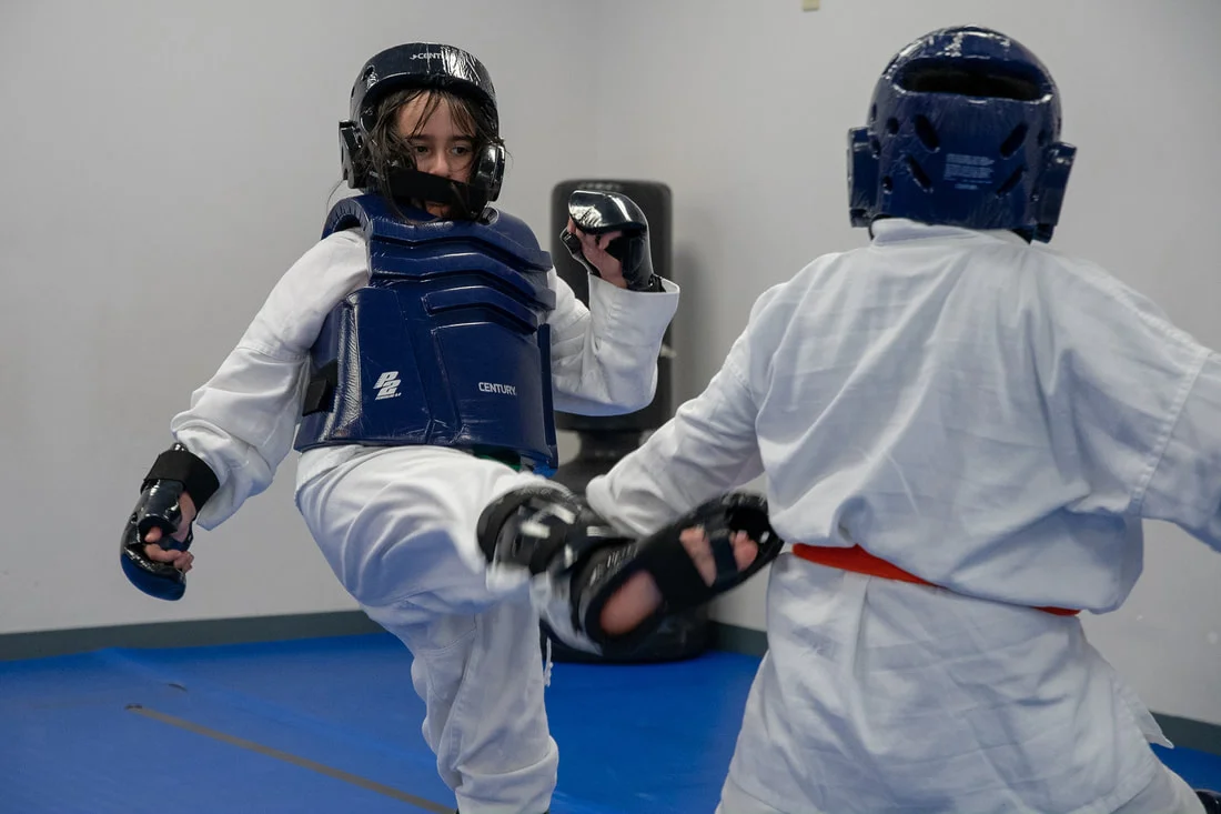 North Dallas Martial Arts facility image