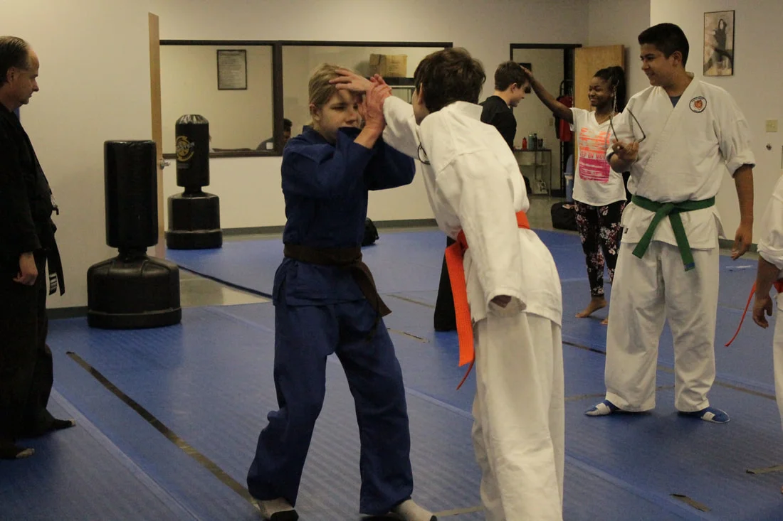 North Dallas Martial Arts facility image
