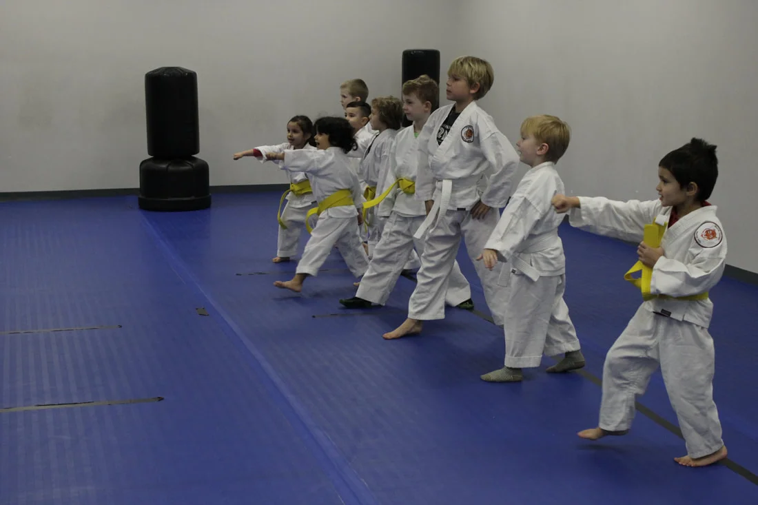 North Dallas Martial Arts facility image