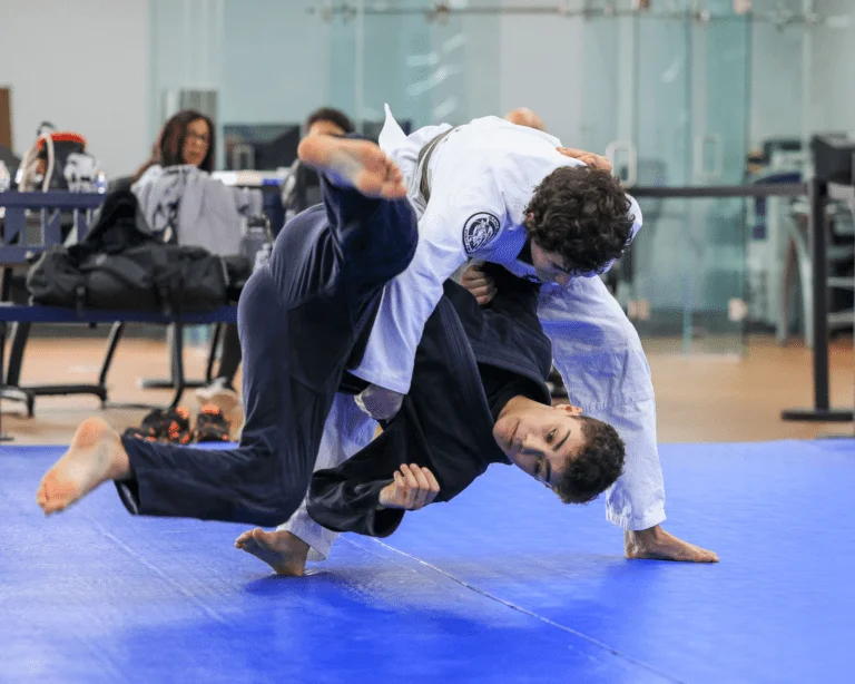 North South Jiu Jitsu facility image