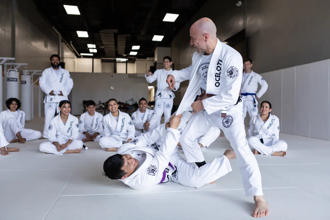 Ocelotl Martial Arts Academy visual