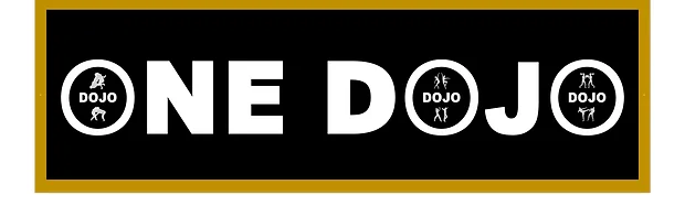 One Dojo academy photo