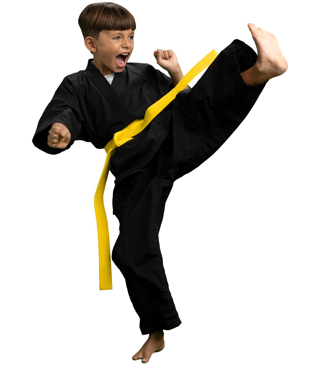 Pearland Premier Martial Arts (Hwy 288 Location) facility image