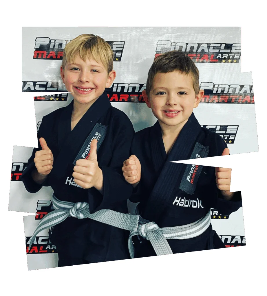 Pinnacle Martial Arts academy logo