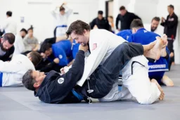 Progresso Jiu Jitsu Richardson facility image