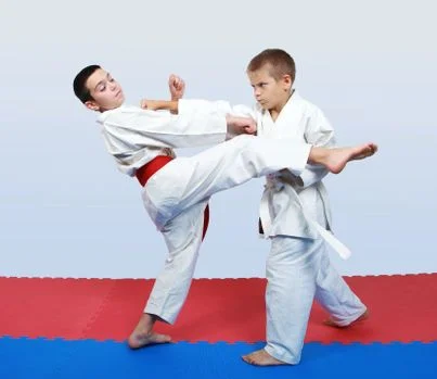 Renzo Gracie Mission facility image