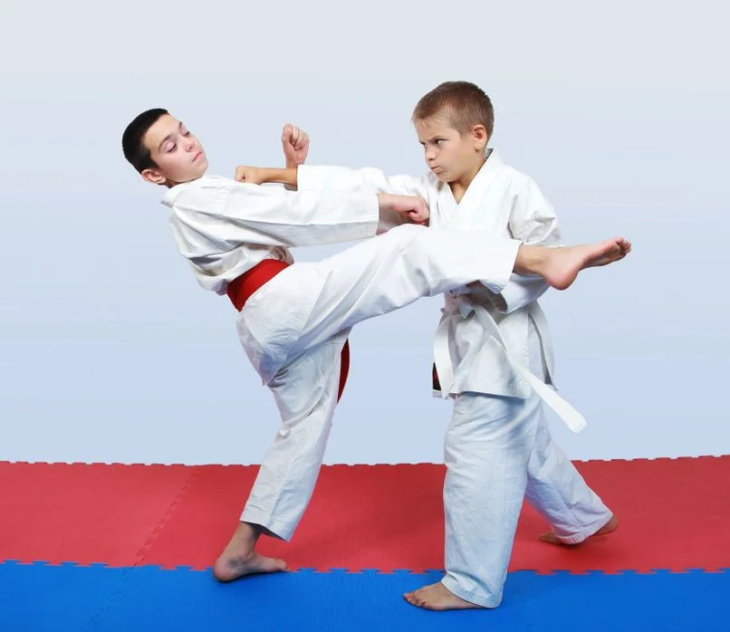 Renzo Gracie Mission facility image