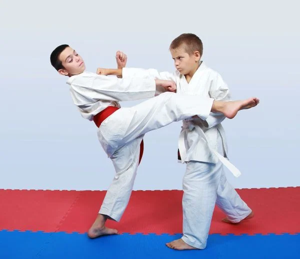 Renzo Gracie Mission facility image