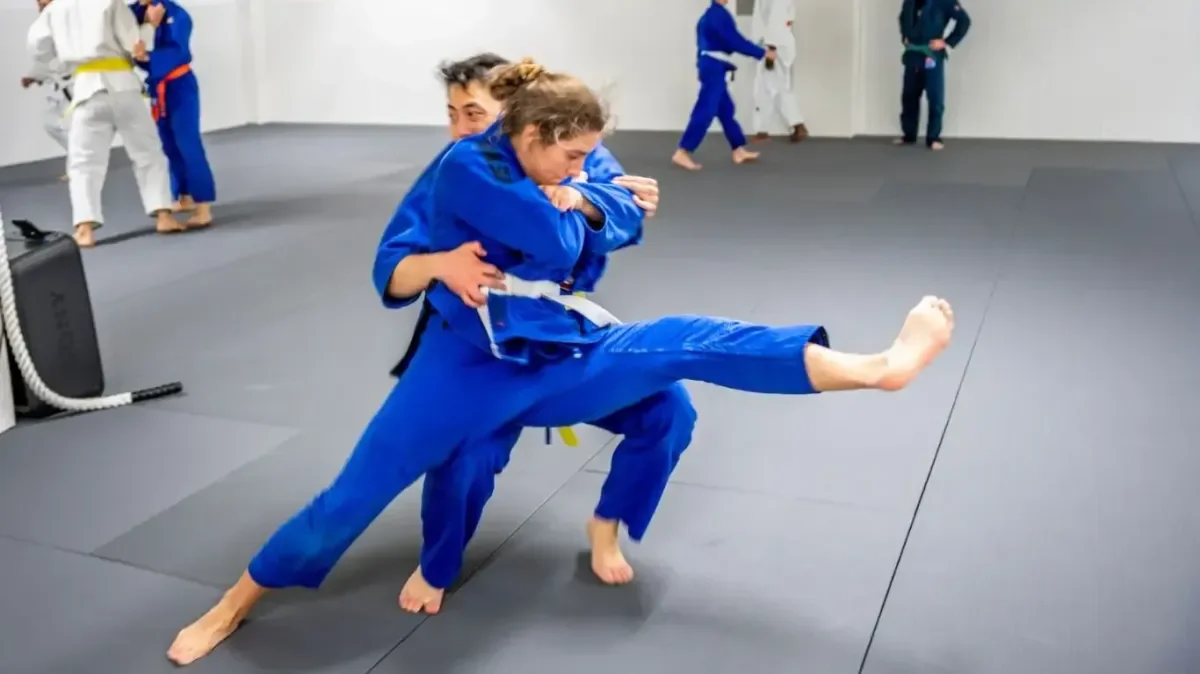 Revolution Dojo facility image