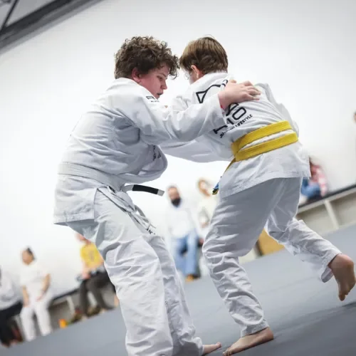 Rio Jiu-Jitsu Lifestyle facility image