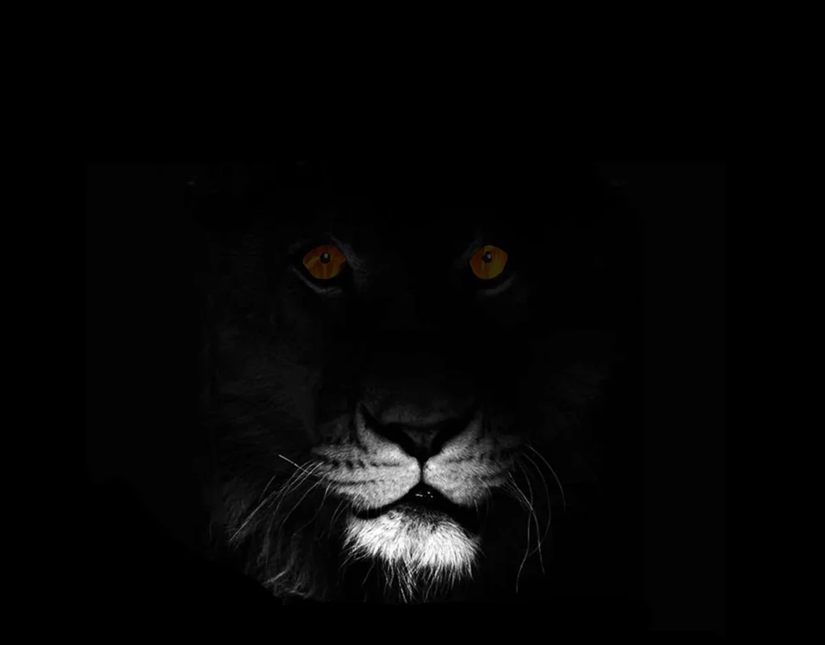 RISE AND RISE AGAIN UNTIL LAMBS BECOME LIONS facility image