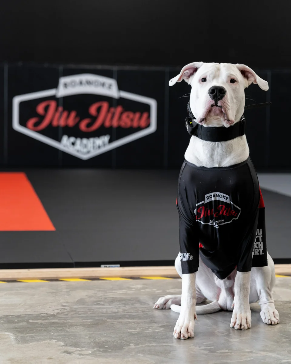 Roanoke JiuJitsu Academy academy photo