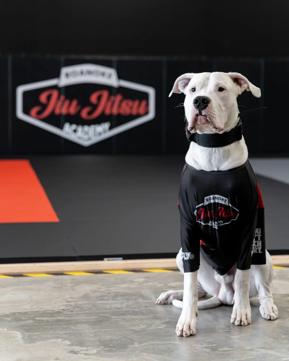 Roanoke JiuJitsu Academy academy photo