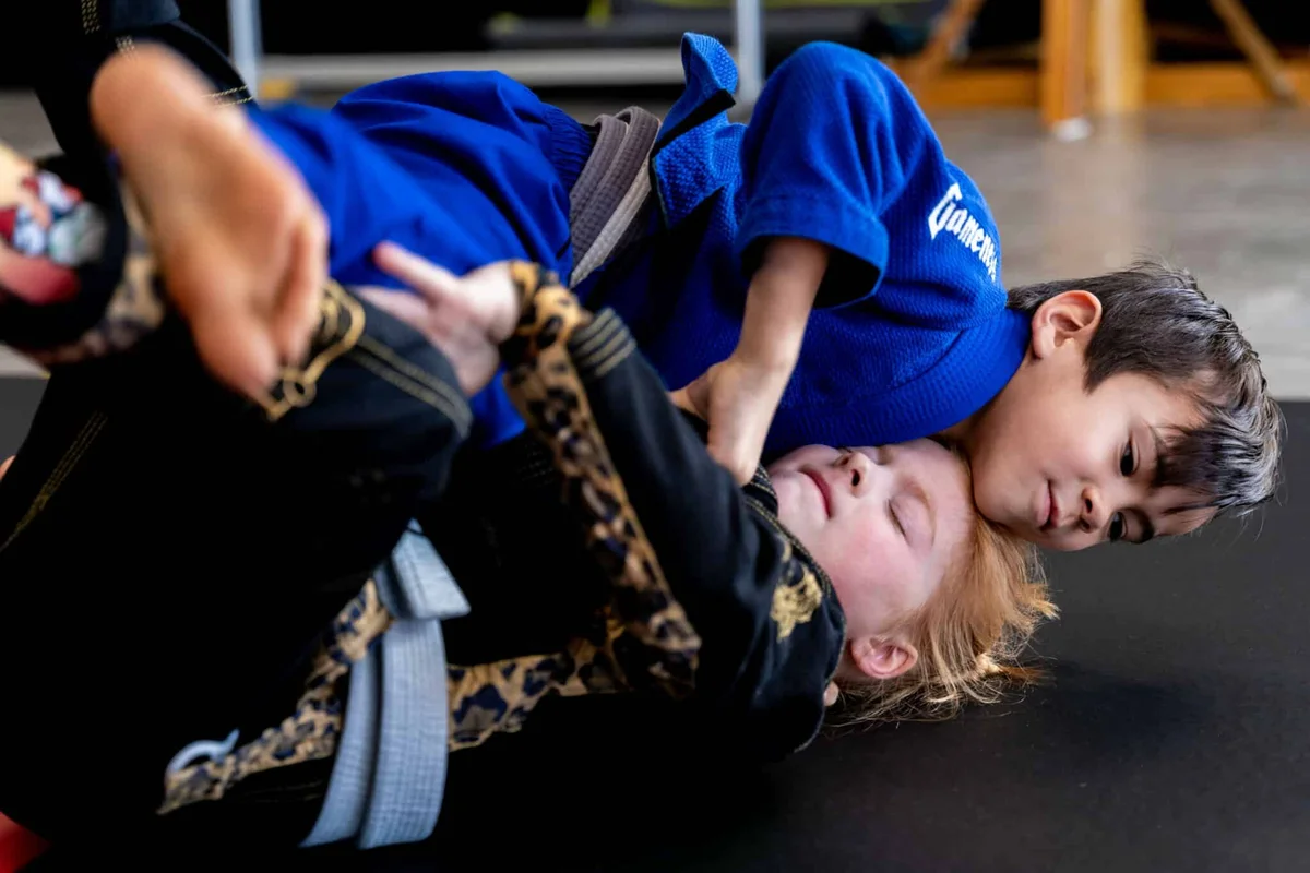 Roanoke JiuJitsu Academy academy photo