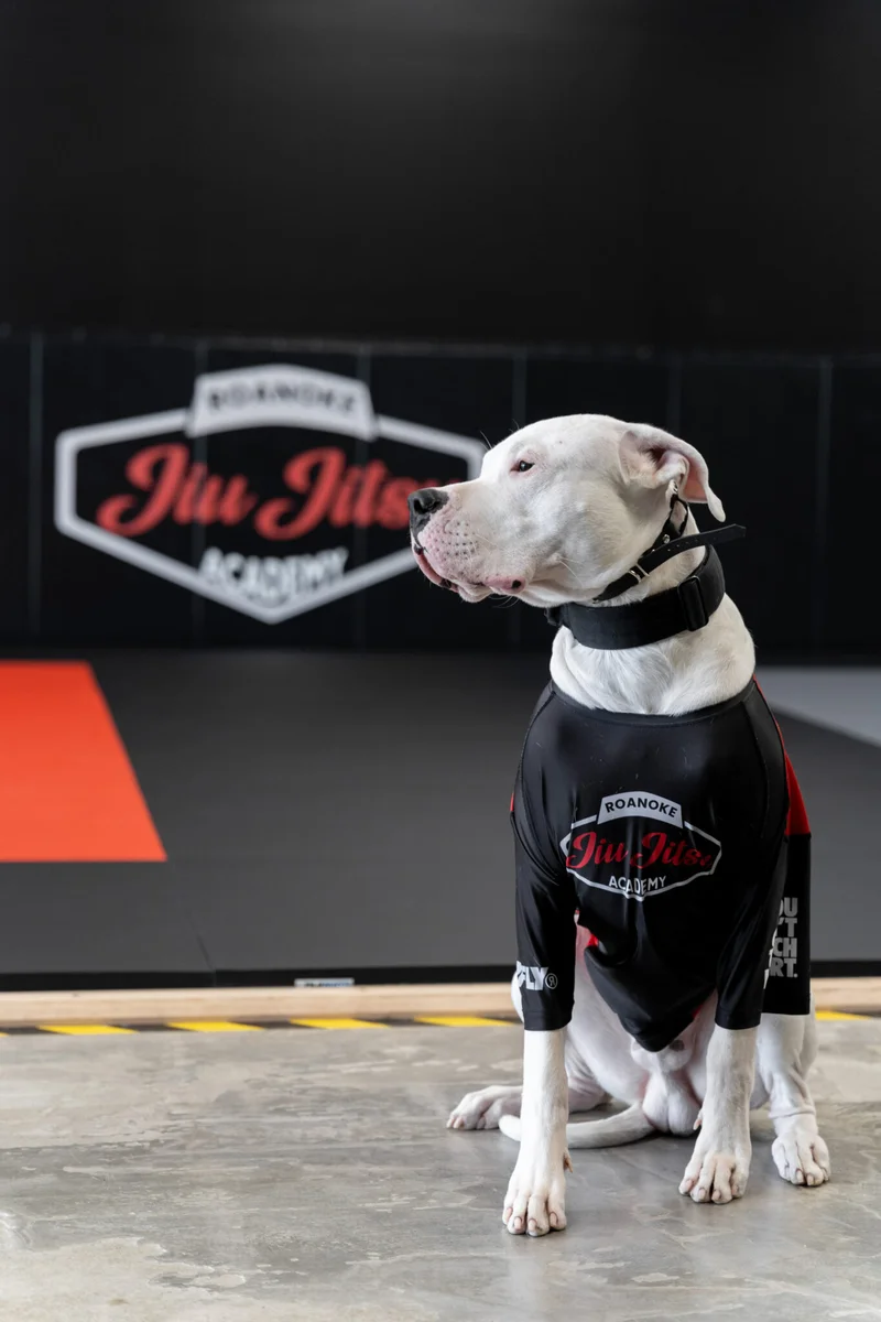 Roanoke JiuJitsu Academy academy photo