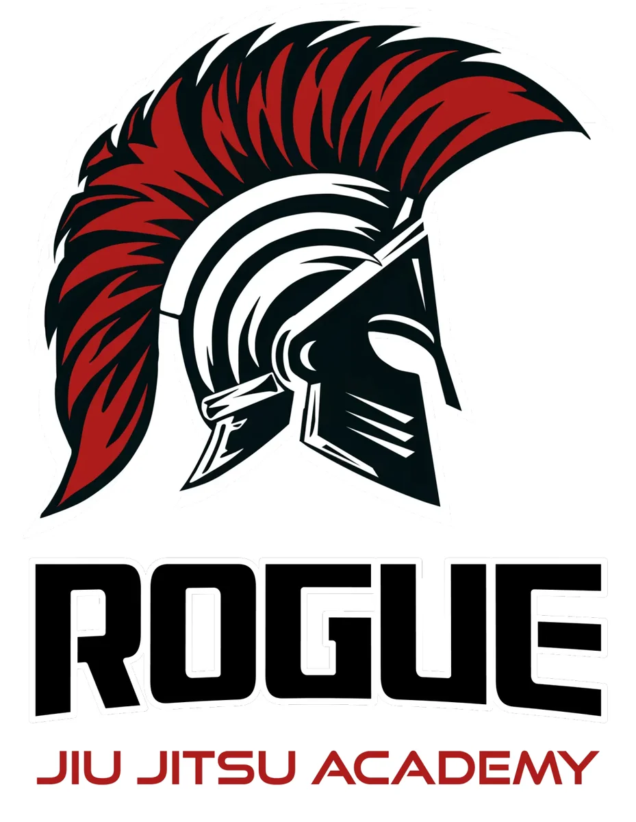 ROGUE Jiu Jitsu academy photo