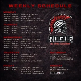 ROGUE Jiu Jitsu academy photo