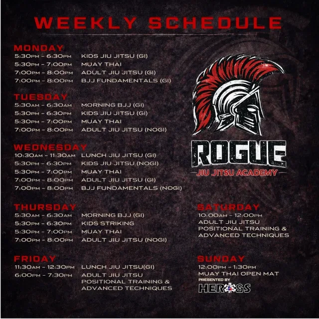 ROGUE Jiu Jitsu academy photo