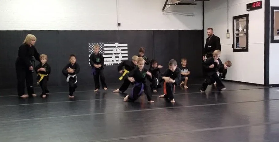 Rogue Martial Arts facility image